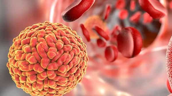 Zika virus: ఇక, జికా వైరస్ వంతు..! కేరళలో కొత్తగా బయల్పడ్డ మహమ్మారితో కేంద్రం అప్రమత్తం.. అధ్యయనానికి ప్రత్యేక బృందం