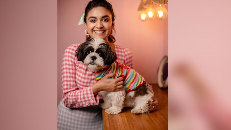 తాజాగా సోషల్ మీడియాలో కీర్తి షేర్ చేసిన ఫోటోలు వైరల్ అవుతున్నాయి. కీర్తి తన పెట్ డాగ్ నైకీతో అందమైన ఫోటో షూట్ చేసింది  ఈ వయ్యారి. 