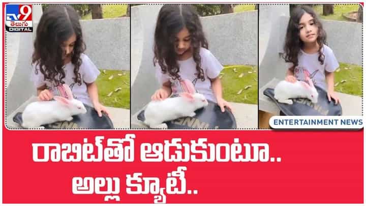 Allu Arha: రాబిట్తో ఆడుకుంటూ అల్లు క్యూటీ.. డాటర్ క్యూట్ వీడియో షేర్ చేసిన బన్నీ.. వీడియో Allu Arha: రాబిట్తో ఆడుకుంటూ అల్లు క్యూటీ.. డాటర్ క్యూట్ వీడియో షేర్ చేసిన బన్నీ.. వీడియో