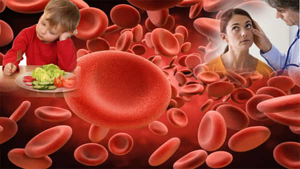 Anemia: మీలో ఈ లక్షణాలు కనిపిస్తున్నాయా..? అయితే రక్తహీనత కావచ్చు.. ఈ పదార్థాలు తీసుకోండి..!