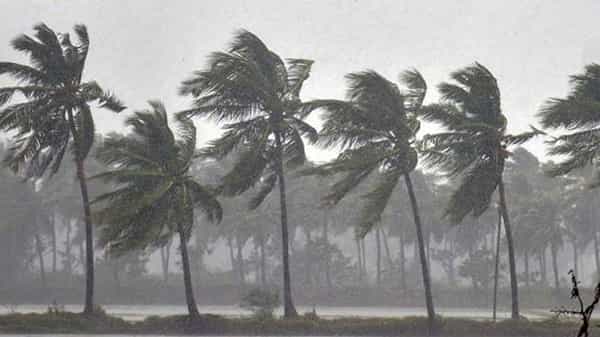 AP Weather Report: ఏపీలో మరో మూడు రోజులు భారీ వర్షాలు.. ఆయా ప్రాంతాల ప్రజలకు హెచ్చరికలు..!