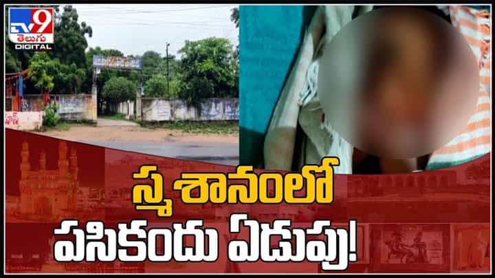 స్మశానంలో పసికందు ఏడుపు..! దగ్గరకి వెళ్లి చుస్తే షాక్.. వైరల్ అవుతున్న వీడియో..:Babe Cemetery Viral Video. స్మశానంలో పసికందు ఏడుపు..! దగ్గరకి వెళ్లి చుస్తే షాక్.. వైరల్ అవుతున్న వీడియో..:Babe Cemetery Viral Video.