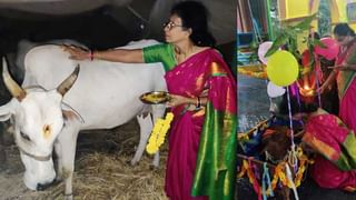 Viral Video: పెళ్లిలో ‘కుడి ఎడమైతే’.. వరుడు చేసిన క్రేజీ పనికి నవ్వులు పువ్వులు.!