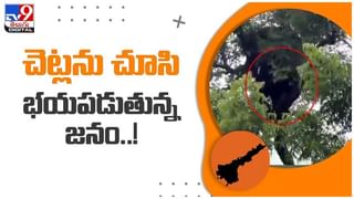 Viral Video: ఏటీఎం చోరీకి ప్రయత్నం.. సందులో ఇరుక్కుపోయిన  దొంగ.. చివరికి ఏమైందంటే..?? వీడియో