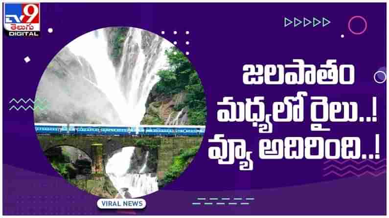 Dudhsagar Waterfalls: జలపాతం మధ్యలో రైలు..!! ఈ వాటర్‌ పాల్‌ సీన్‌కు ఎవ్వరైన ఫిదా కావాల్సిందే..!! వీడియో