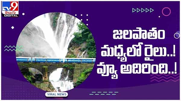 Dudhsagar Waterfalls: జలపాతం మధ్యలో రైలు..!! ఈ వాటర్ పాల్ సీన్కు ఎవ్వరైన ఫిదా కావాల్సిందే..!! వీడియో