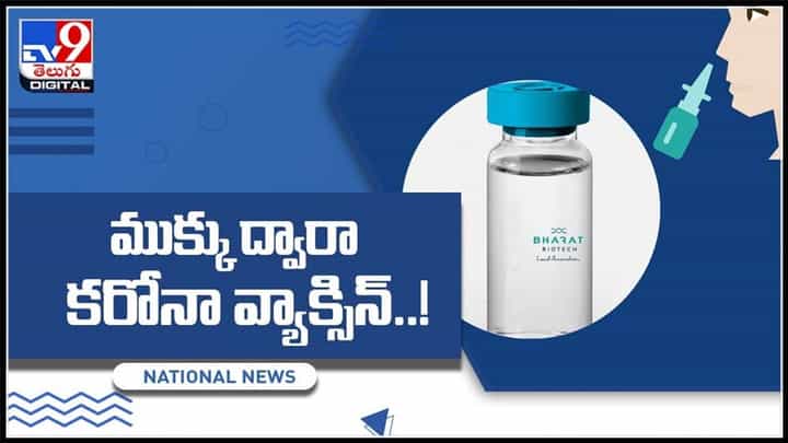 రానున్న రోజుల్లో ముక్కు ద్వారా కరోనా వాక్సిన్.. ట్రయల్స్ కు అనుమతిచ్చిన కేంద్రం:Bharat Biotech Covid vaccine Video. రానున్న రోజుల్లో ముక్కు ద్వారా కరోనా వాక్సిన్.. ట్రయల్స్ కు అనుమతిచ్చిన కేంద్రం:Bharat Biotech Covid vaccine Video.