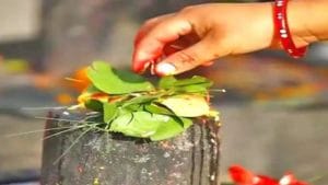 Bilwa Patra: బిల్వపత్రం ఎన్ని రకాలు.. ఏయే బిల్వపత్రాలతో పూజిస్తే ఏయే ఫలితాలు కలుగుతాయంటే