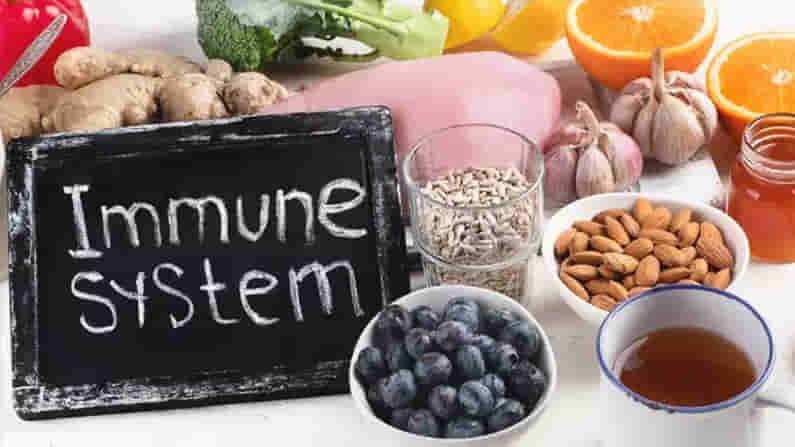 Health Tips: పొంచి ఉన్న డెంగ్యూ ప్రమాదం.. వీటిని తీసుకుంటే గట్టెక్కినట్లే.. ఎంటో తెలుసా..