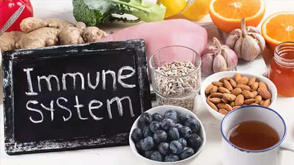 Health Tips: పొంచి ఉన్న డెంగ్యూ ప్రమాదం.. వీటిని తీసుకుంటే గట్టెక్కినట్లే.. ఎంటో తెలుసా..