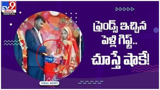 Viral Video: వారెవ్వా.. పిల్లిని కాపాడేందుకు మహిళ సాహసం.. సూపర్బ్ అంటోన్న నెటిజన్స్