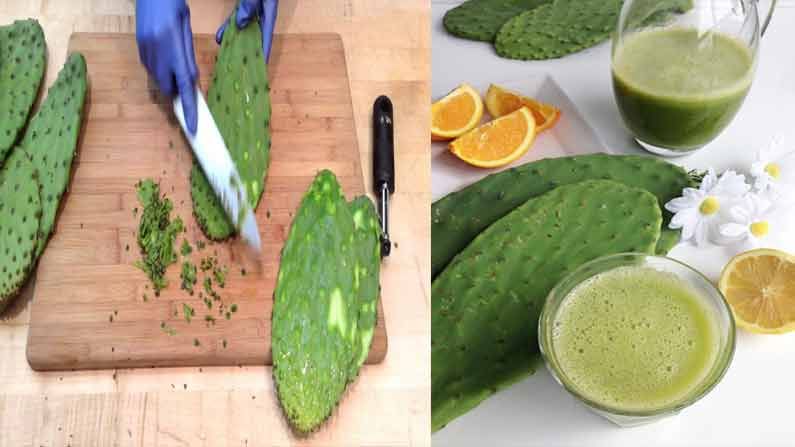 Cactus Juice: శరీరానికి ఆరోగ్యాన్నిచ్చే కాక్టస్ జ్యూస్ రెసిపీ.. దీనిని తాగడం వలన ఎన్ని ఆరోగ్యప్రయోజనాలో తెలుసా