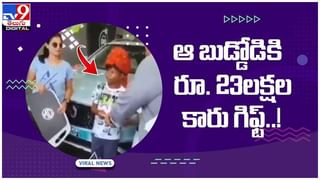 Diana Wedding Cake: 40 ఏళ్ల నాటి రాయల్ కేక్‌ లక్షలు పలికింది.. వేలానికి భారీ క్యూ.. వీడియో