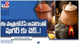 Viral Video: ఈ రోడ్డు నాది.. కొండముచ్చు హల్‌చల్‌… సోషల్ మీడియాలో వీడియో వైరల్