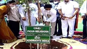 CM Jagan: ఆకుపచ్చని ఆంధ్రావని సాధనే లక్ష్యం.. ప్రతి ఒక్కరూ చెట్లను పెంచాలని ప్రతిజ్ఞ చేయించిన సీఎం జగన్