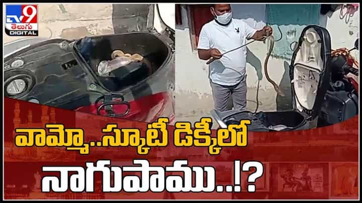 వామ్మో..స్కూటీ డిక్కీలో నాగుపాము..! ఎలా వచ్చిందో తెలిసా..?షాక్ లో ఓనర్..:Snake Viral Video. వామ్మో..స్కూటీ డిక్కీలో నాగుపాము..! ఎలా వచ్చిందో తెలిసా..?షాక్ లో ఓనర్..:Snake Viral Video.