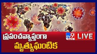 Viral Video: కెమెరా కళ్లకు చిక్కిన అత్యంత అరుదైన చేప.. సోషల్ మీడియాలో వీడియో వైరల్