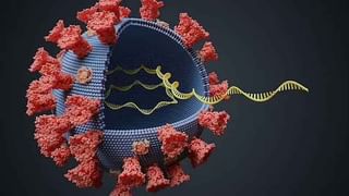 Proteins: ప్రోటీన్ల కోసం గుడ్లు, నాన్-వెజ్‌ తింటున్నారా.. అవసరం లేదండీ.. వీటిలో కూడా కావల్సినన్ని ప్రోటీన్లు ఉన్నాయండోయ్..