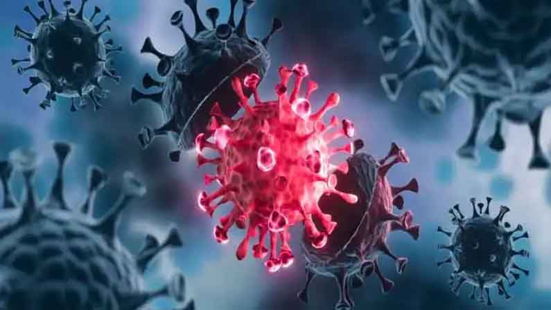 Coronavirus: వైరస్ టెర్రర్.. ప్రకాశం జిల్లా పాఠశాలల్లో 76 మందికి కరోనా