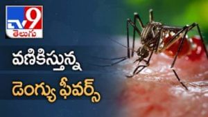 Dengue Fever: జనాలపై దండెత్తిన డెంగీ.. బాధితుల భయాన్ని క్యాష్ చేసుకుంటున్న ఆస్పత్రులు, ల్యాబరేటరీలు