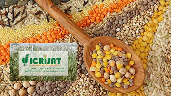 Diabetics: చిరుధాన్యాలతో డయాబెటీస్కు చెక్ చెప్పొచ్చు.. ఇక్రిశాట్ పరిశోధనలో వెల్లడి!