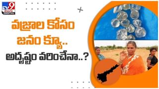 Viral Video: చెట్లపై సేదతీరుతున్న ఎలుగుబంటి..!! భయం గుప్పిట్లో గ్రామ ప్రజలు.. వీడియో