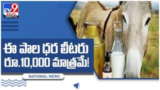 Share Market: రాకెట్ వేగంతో దూసుకుపోతున్న దేశీయ స్టాక్ మార్కెట్లు.. 55 వేల స్థాయిని దాటి.. ఆల్ టైమ్ రికార్డుకు సెన్సెక్స్