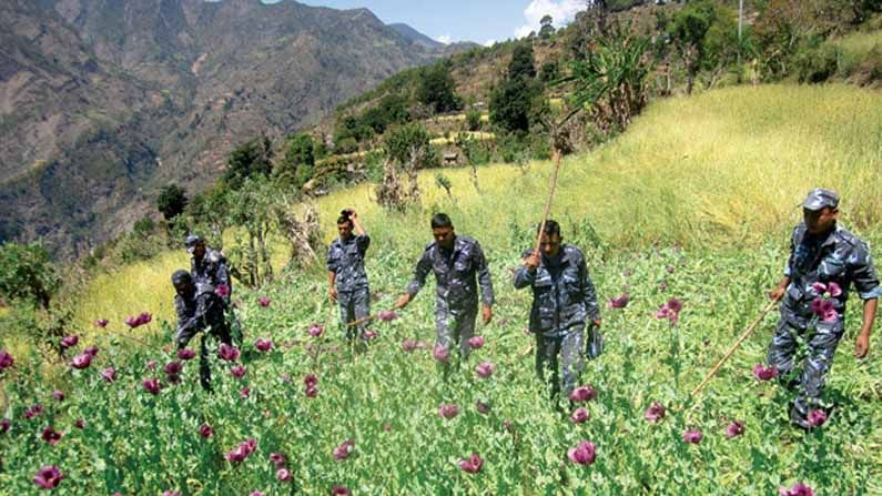 Drugs in Kashmir: మాదక ద్రవ్యాల చెరలో కాశ్మీర్.. సంవత్సరానికి అక్కడ డ్రగ్స్ వ్యాపారం విలువ ఎంతో తెలిస్తే షాక్ అవ్వాల్సిందే!