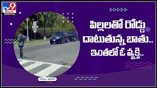 గంజాయి సాగుకి పర్మిషన్ ఇవ్వండి.. అంటూ కలెక్టర్ కు లేఖ రాసిన రైతు .. వైరల్ అవుతున్న వీడియో: Viral Video.