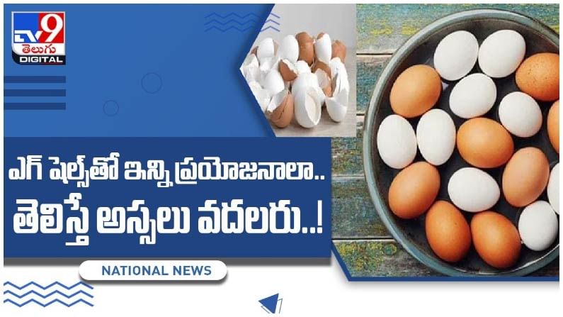 Egg Shells: ఎగ్‌ షెల్స్‌తో ఇన్ని ప్రయోజనాలా.. తెలిస్తే అస్సలు వదలరు..! వీడియో