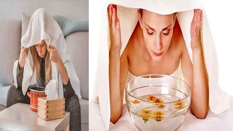 Facial Steaming: అందానికి మెరుగులు దిద్దే క్రమంలో ఆవిరిపడుతున్నారా.. ఏయే జాగ్రత్తలు తీసుకోవాలో తెలుసా..!