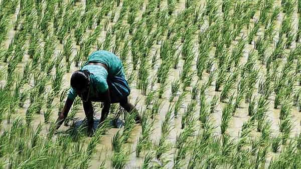 Farmer Pension Scheme: అన్నదాతకు అండగా కేంద్రం.. వృద్ధాప్యంలో పెన్షన్ కోసం సరికొత్త పథకం.. ఎలా రిజిస్ట్రేషన్ చేసుకోవాలంటే