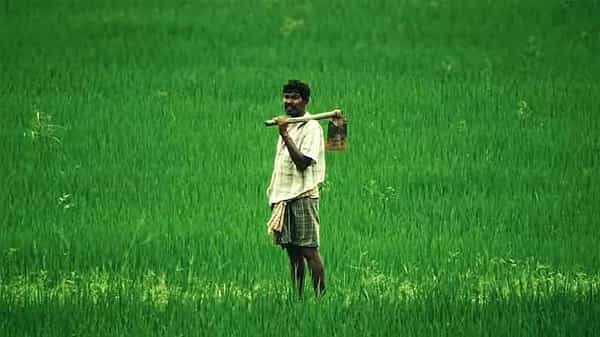 Schemes for Farmers: రైతుల కోసం ప్రభుత్వం చేపట్టిన ఐదు ముఖ్య పథకాలు.. పూర్తి వివరాలు మీకోసం..