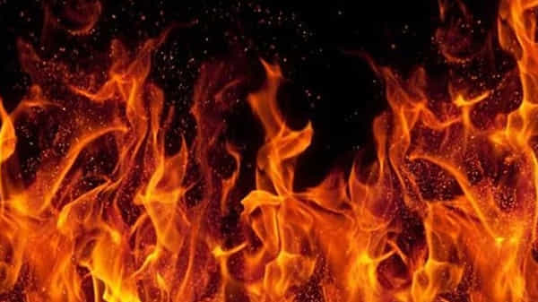 Andhra Pradesh: విజయనగరం జిల్లాలో దారుణం.. యువతిపై పెట్రోల్ పోసి నిప్పటించిన యువకుడు..