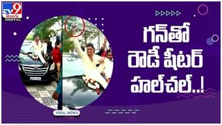 Viral Video: గోల్ఫ్ ఆడిన పిల్ల ఎలుగుబంట్లు.. నెట్టింట వీడియో వైరల్