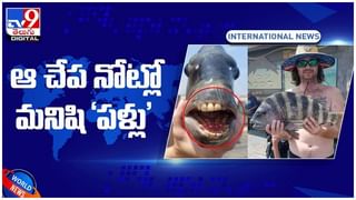 Prank In Train: రైల్లో ప్రాంక్ తో అడ్డంగా బుక్కయ్యాడు.. ఏకంగా రెండేళ్లు..!! వీడియో