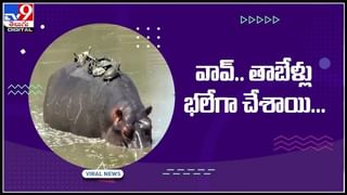 భార్య అంటే మరి ఇంత ప్రేమా..! భార్య చితిలోకి దూకి.. పతి సహగమనం చేసిన భర్త..:Viral Video.