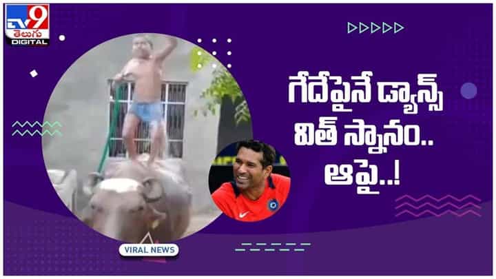 బుడ్డోడి ఫన్నీ సీన్.. గేదేపైనే డ్యాన్స్ విత్ స్నానం.. వీడియో చూస్తే వావ్ అనాల్సిందే బుడ్డోడి ఫన్నీ సీన్.. గేదేపైనే డ్యాన్స్ విత్ స్నానం.. వీడియో చూస్తే వావ్ అనాల్సిందే
