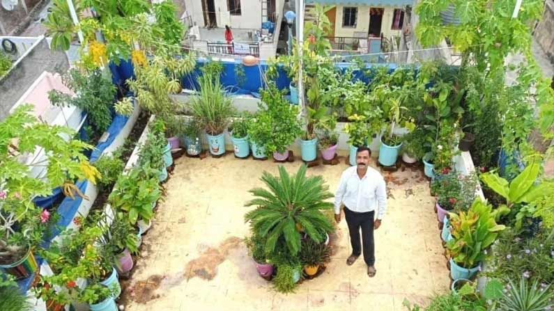 Urban Gardening:  సోషల్ మీడియా ద్వారా నేర్చుకున్న గార్డెనింగ్.. డాబాపై 200 రకాల మొక్కలను పెంచుతున్న వైనం