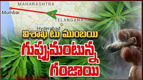 Ganja smuggling: ఏపీలో ఆ ప్రాంతం.. తెలంగాణలో ఈ ప్రాంతం.. గంజాయి రవాణా వెనుక దిమ్మతిరిగే సిత్రాలు