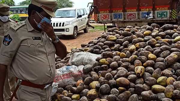 AP Crime News: కొబ్బరికాయల లోడేలే అనుకున్నారు.. ఫార్మల్గా చెక్ చేశారు.. పోలీసుల మైండ్ బ్లాంక్