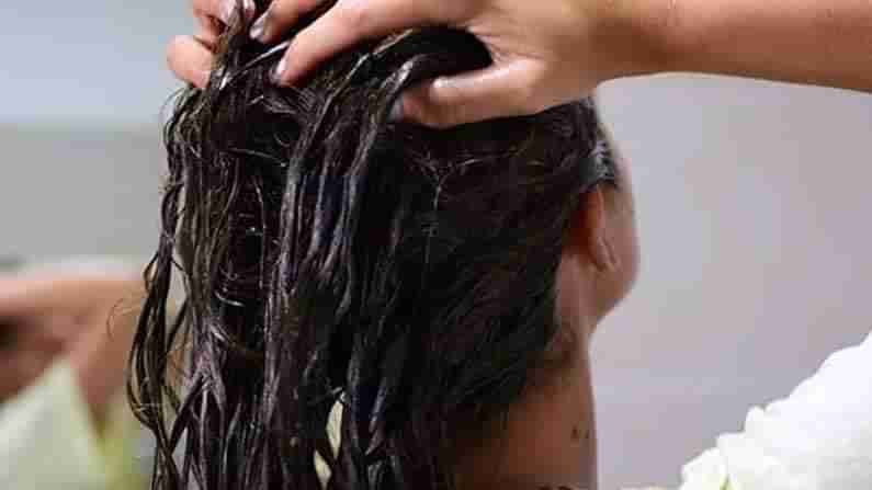 Monsoon Hair Fall Tips: ఈ 5 చిట్కాలు పాటిస్తే జుట్టు రాలకుండా ఉంటుంది..! ఏంటో తెలుసుకోండి..