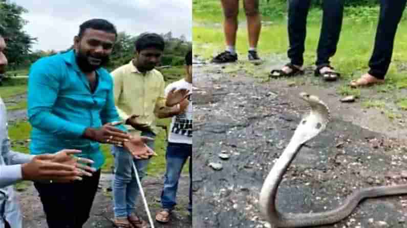 Nag Panchami 2021: నాగుల పంచమి వేళ పాముకు హ్యపీ బర్త్ డే.. నెట్టింట రచ్చ చేస్తోన్న వీడియో