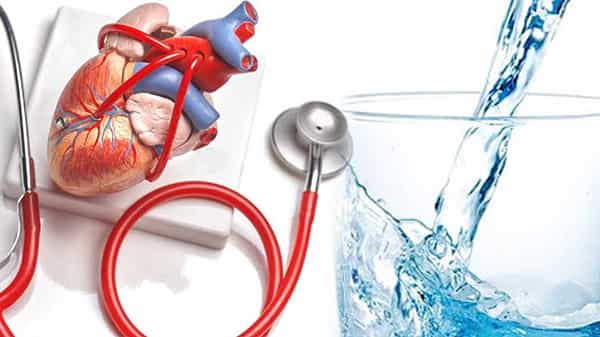 Healthy Heart: మీరు తాగే నీరు మీ గుండె ఆరోగ్యాన్ని కాపాడుతుందని తెలుసా? నీరు తక్కువ తాగితే ఏమవుతుందంటే..