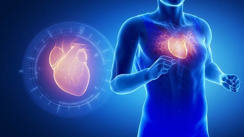 Heart Health: గుండె ఆరోగ్యం కోసం ఈ 5 శాఖాహారాలు తప్పనిసరి..! వెంటనే డైట్‌లో చేర్చండి..