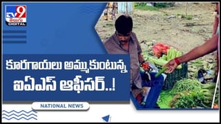 Bridge Colapse Video Viral: అయ్యో .. చూస్తుండగానే వంతెన కుప్పకూలిపోయింది.. వీడియో వైరల్.