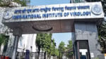 ICMR - NIV Recruitment: ఐసీఎంఆర్‌ - నేషనల్‌ ఇన్‌స్టిట్యూట్‌ ఆఫ్‌ వైరాలజీలో ఉద్యోగాలు.. ఇంటర్వ్యూ ఆధారంగా ఎంపిక.