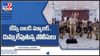 Viral Video: నిటారు కొండపై మంచు చిరుతల వేట.. ఈ అద్భుతమైన వీడియోను చూస్తే ఆశ్చర్యపోతారంటే!