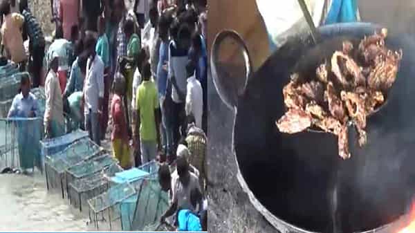 Jurala Project: జూరాల ప్రాజెక్ట్కు జలకళ .. మొదలైన పర్యాటకుల సందడి.. ఊరిస్తున్న చేపల వంటకాలు