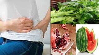 Diabetes Diet Plan: మీరు డయాబెటిక్‌తో బాధపడుతున్నారా.. ఈ చిట్కాలు ఫాలో అయితే చాలు..  మీ ఆరోగ్యం మీ చేతిలో..